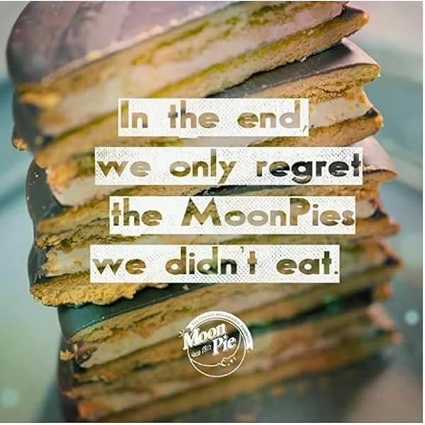 MOONPIE BLUBERRY SANDWHICH COOKIE MINI 4 PACK, 48 TOTAL COOKIES