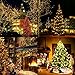 Fairy Lights Outdoor String Lights 33ft 100 LED with Memory Modes Controller, Extendable Christmas Lights Decorations for Wedding, Christmas, Party, Patio, Indoor Outdoor (Black Wire- Warm White)