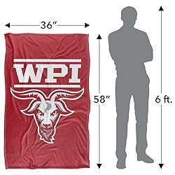 Worcester Polytechnic Institute Engineers