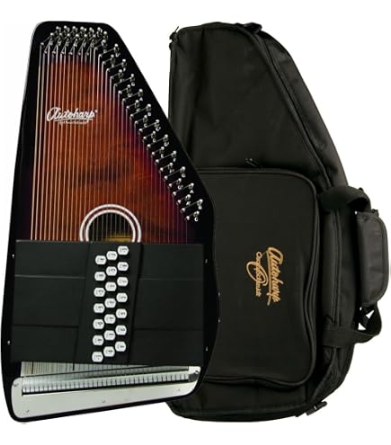 Amazon.com: Autoharp by Oscar Schmidt 21 Chord Maple Body Autoharp