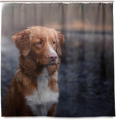 Amazon 犬ノバスコシアダックシャワーカーテンバスルームフック べと病抵抗性防水ポリエステルカーテン 165x180 Cm シャワーカーテン ホーム キッチン オンライン通販