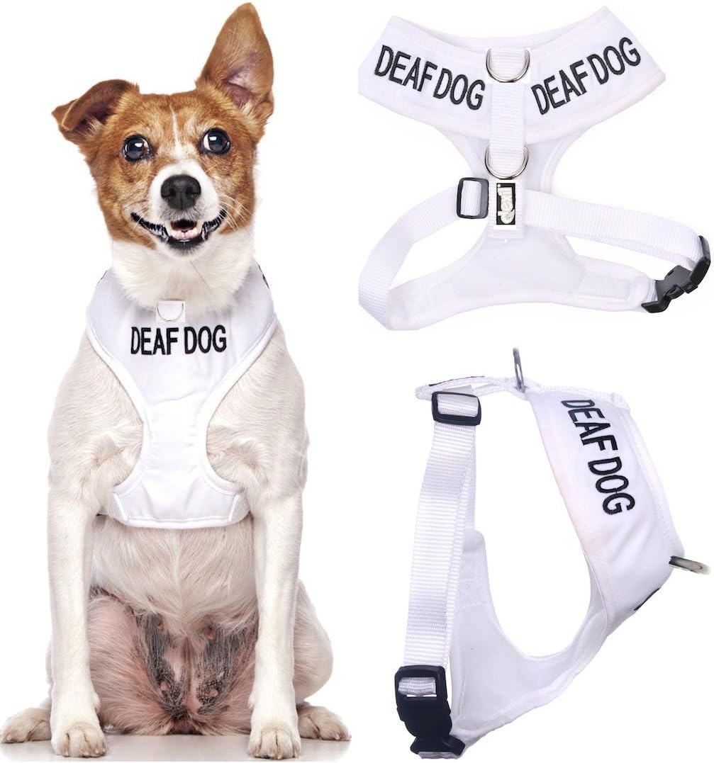 "DEAF DOG" White Color Coded Small Vest Dog Harness (No/Limited Hearing) PREVENTS Accidents By