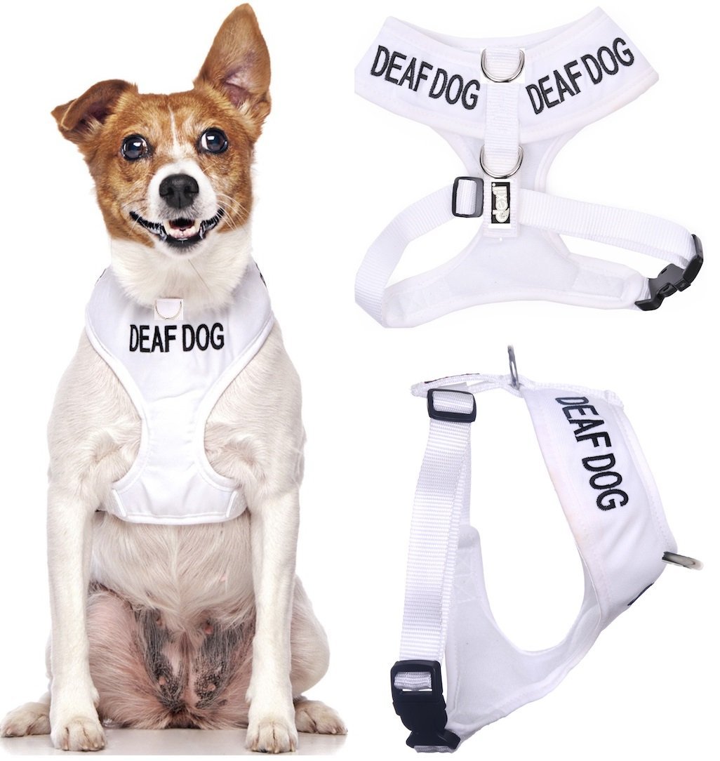 Dexil DEAF DOG (Dog Has Limited/No Hearing) White Colour Coded Non-Pull Front and Back D Ring Padded and Waterproof Vest Dog Harness PREVENTS Accidents By Warning Others Of Your Dog In Advance (S) โ image 1
