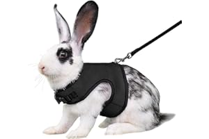 YOUALSO Black Bunny Harness and Leash, Escape Proof Rabbit Harness and Leash Set, Cute Bunnies Vest Clothes Stuff Accessories - Suit for 2-3months Young Rabbit, 2-4months Ferret, 3-5months Guinea Pig, M