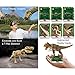 Virtual Explorer Prehistoric Safari 4-in-1 VR, AR, hands-on play and learning system with Dino Excavation Kit, VR Goggles and App, Augmented Reality cards and Explorer Guide