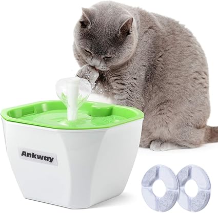 Ankway Fontaine à Eau Pour Chat Animaux 16 Litre Distributeur Fontaine Deau Automatique Avec Filtres à Charbon Et Détecteur De Niveau Deau