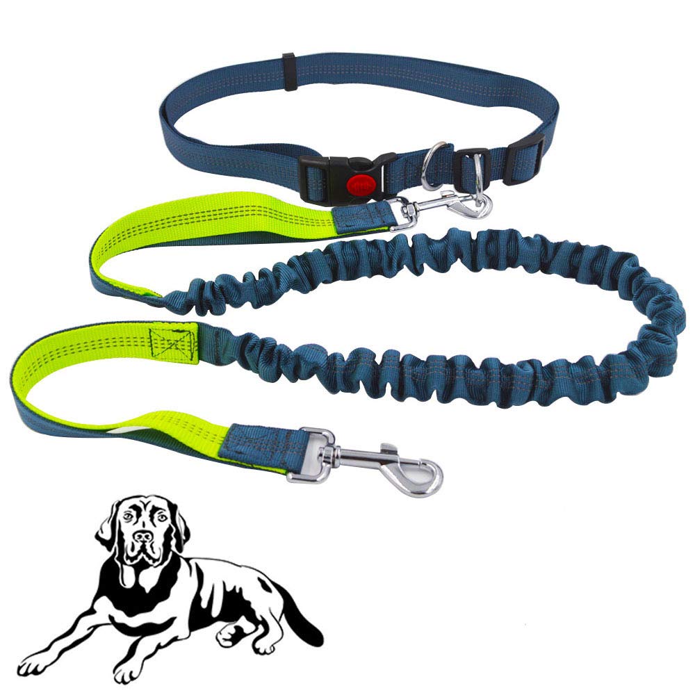 Senven mains libres Laisse de Chien, Laisse rétractable pour chien Tour de taille Pouch, réglable Ceinture de laisse de dressage pour chien Marche, Jogging et course la Randonnée