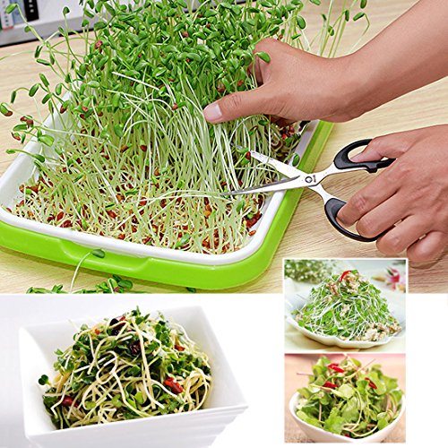 Yamix 2 Pack Two-Tiered Seed Sprouter Tray Kitchen Crop Sprouter Germination Tray (Purple + White) - Thumbnail 3