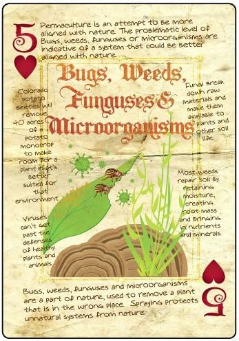bug and weeds card