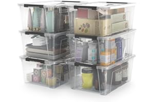 WYT Clear Storage Latch Bins, 6-Pack Storage Organizer Box with Handle and Lids, 5-Litre