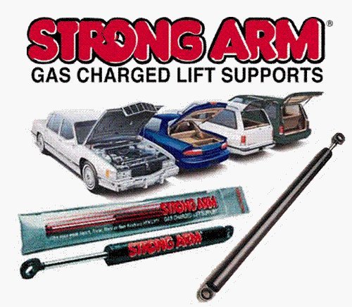 Qty (2) LEXUS LS430 2001 2002 2003 2004 2005 2006 Hood Lift Supports, Struts. Strong Arm 6236