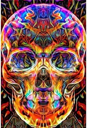 DIY 5D Diamond Painting by Number Kits, Full Drill Crystal Rhinestone Embroidery Pictures Arts Craft for Home Wall Decor Gift,Colored Skull 11.8 x 15.8 Inch (11.8'in×15.8'in)
