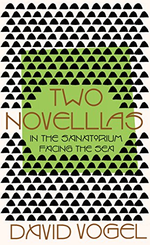 Two Novellas: In the Sanatorium and Facing the Sea by David Vogel