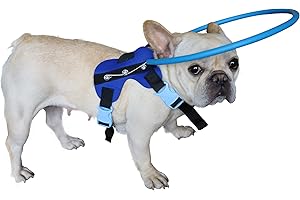HQSLC Blind Dog Harness Guiding Device,Pet Anti-Collision Ring for Protective&Build Confidence,Blind Dog Accessories (M)