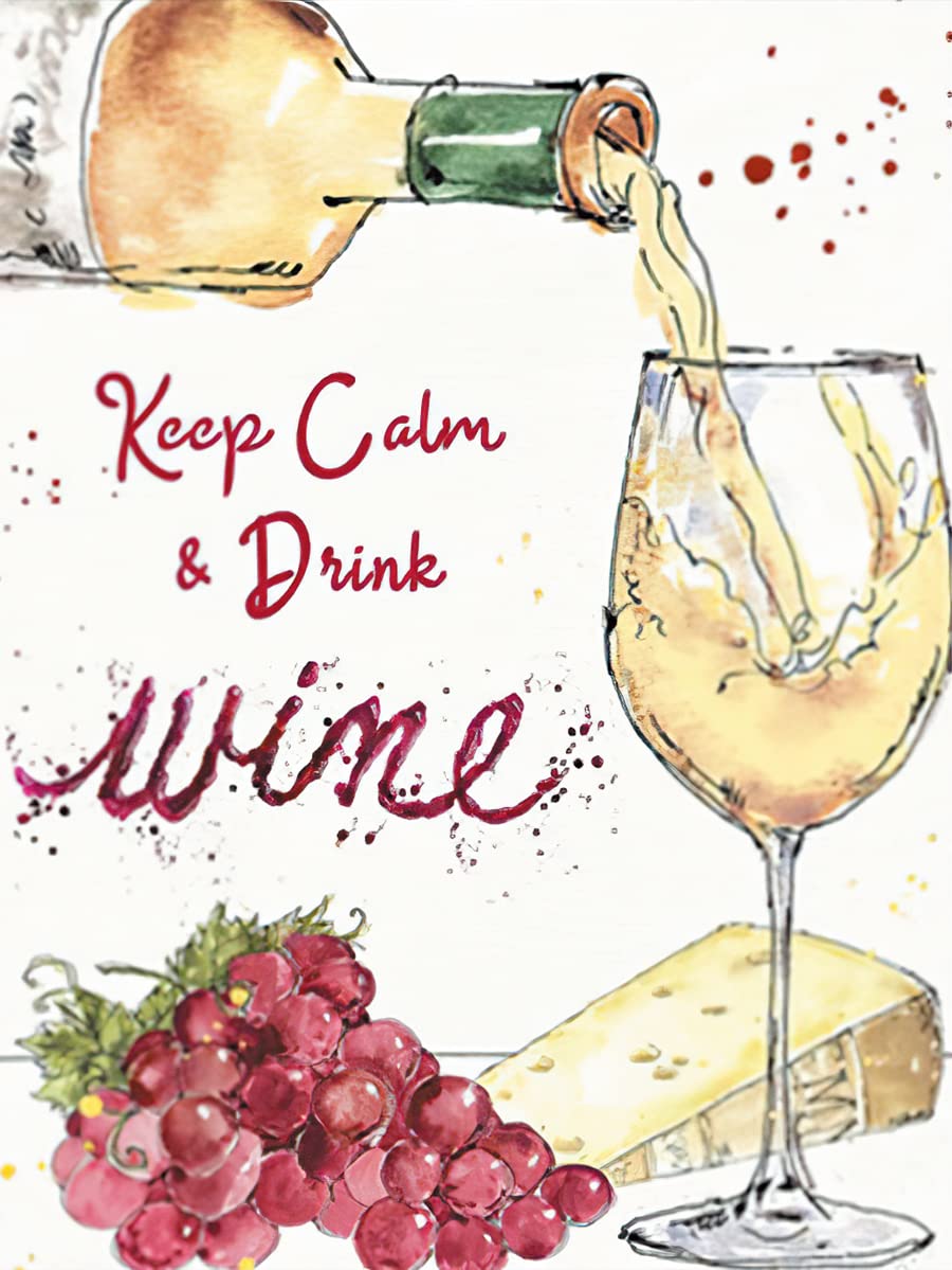 Cross Stitch Kits Stamped, OWN4B Keep Calm and Drink Wine Printed Pattern 11CT 15.0x18.9 inch DIY Embroidery Kit (Glass)