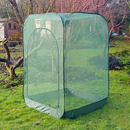 Protector de fácil montaje para frambuesas: Amazon.es: Jardín
