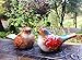Set of 2 Ceramic Flower Embellished Multi-colored Bird Figurines