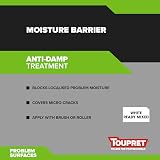 Toupret Anti-Damp Render 1kg - Waterproof Masonry Repair for Rising Damp view 6