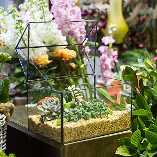 NCYP Large House Shape Close Glass Geometric Terrariumn Tabletop Succulent Plant Box Planter Moss Fern Swing Lid Reptile 8.6 inches x 7.25 inches x 6 inches