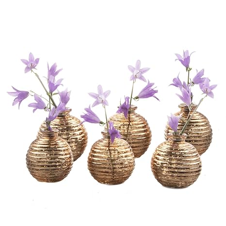 Buy Chive Set Of 6 Smasak Small Round Glass Flower Vase