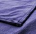 Luxury Flannel Velvet Plush Throw Blanket – 50