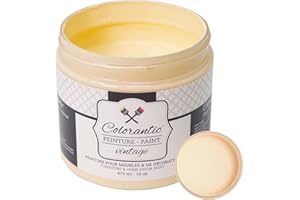 Colorantic | ORANGESICLE Chalk Paint for Furniture Painting DIY- Multi-Surface All-in-One Craft Paint | ORANGE Decorative Painting for Wood (16 oz)