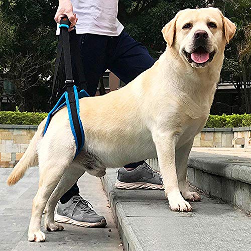 KOBWA Dog Lift Dog Mobility Lift Support Harness for for Hip Assist Stability Injured Disabled Arthritis ACL Joint Pain Elderly(L Size) - Thumbnail 2