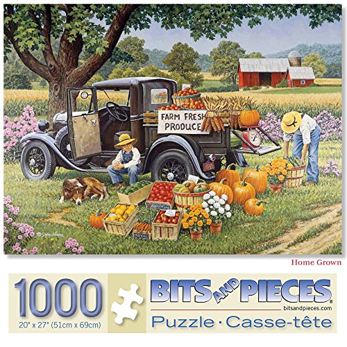 Top 10 Best Bits And Pieces Puzzles 1000 Top Reviews No Place