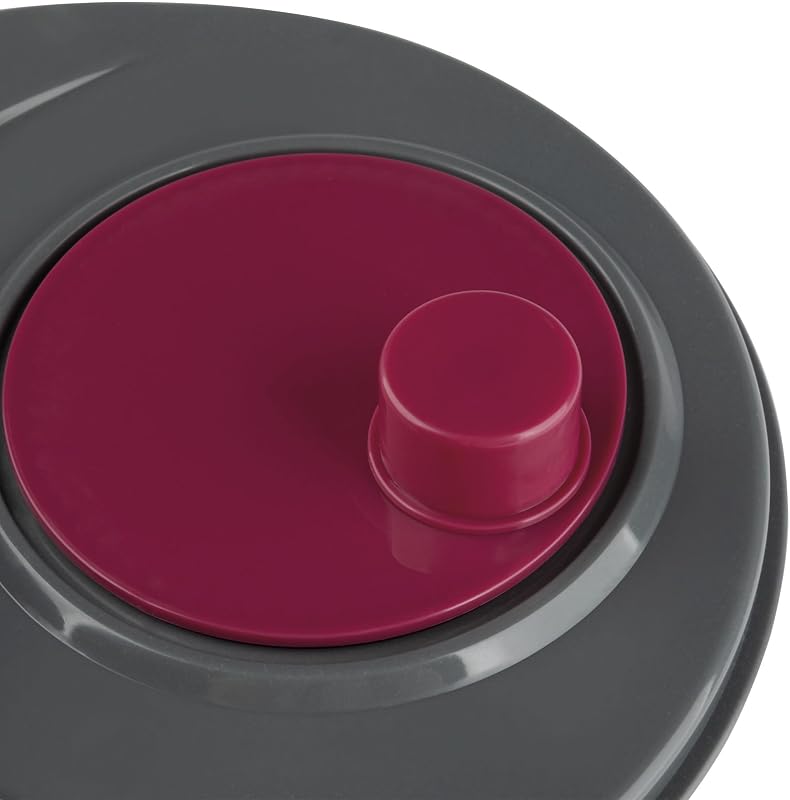 HOGAR HACC4554 - Centrifugadora de Ensalada 3L, Escurridor de Verduras Manual con Manivela, Secador de Lechuga, Sin BPA, Fácil Limpieza