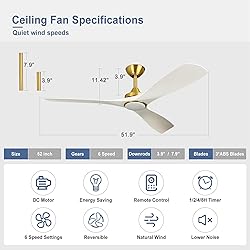 BvenuBigLite Modern Ceiling Fan with Light: White