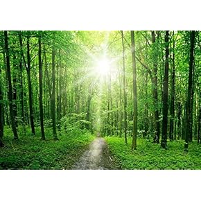 BRAND_NAMEWallpaper Large Wall Mural Series ( Sun Shining)