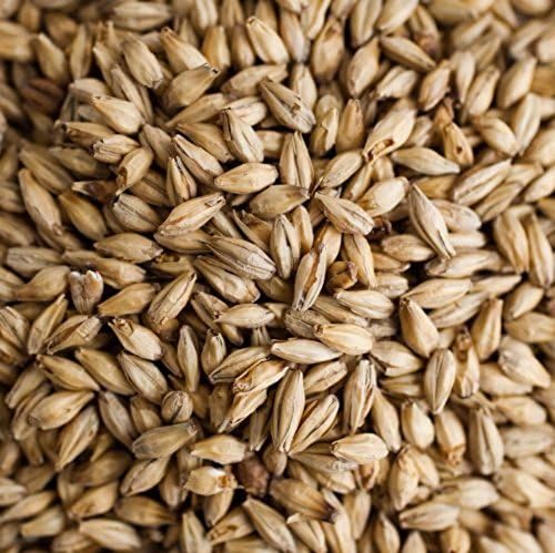 Weyermann Pilsner Malt Home Brewing Malt Whole Grain 1lb Bag