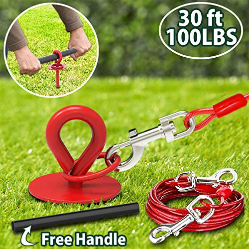 30 Ft Dog Tie Out Cable and Stake Heavy Dog Yard Leash and Stake for
