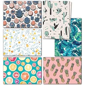 48 Blank Cards with Envelopes Bulk - Assorted Fruit All Occasion Greeting Cards - Includes Blank Note Cards, Envelopes, Stickers & Box - Perfect for Thank You Notecards, Birthday, Kids Stationary Set