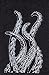 Sourpuss Tentacles Bathroom Towel Set