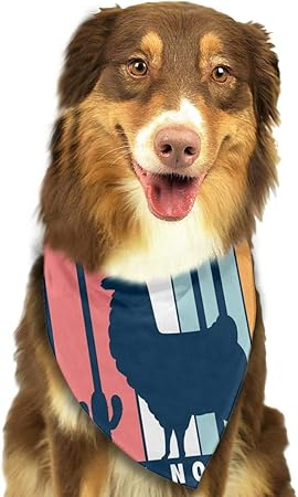 wish dog accessories