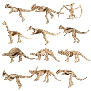 plastic dinosaur skeletons