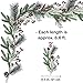 Christmas Artificial Pine Garland with Spruce Cypress Berries Frosted Pinecones Winter Greenery Garland for Holiday Season Mantel Fireplace Table Runner Centerpiece Decoration 6.6 feet