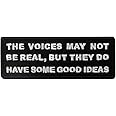 The Voice May Not Be Real Funny Badge Embroidered Biker Emblem Iron On Sew On Patch