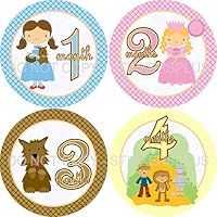 Baby Girl Month Stickers Monthly Baby Milestone Stickers Wizard of Oz Dorothy Toto Good Witch Tin Man Scarecrow Cowardly Lion Stickers
