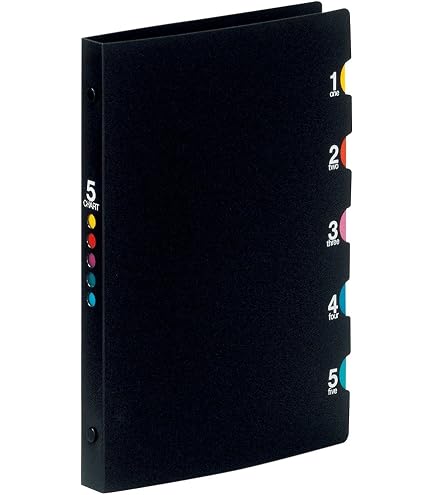 Amazon.com : Maruman File 26 Double Lock 26‑Ring Binder with