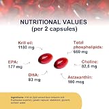 OMEGOR Krill Oil Capsules Omega 3 Antartic EPA DHA 60 Softgels view 5