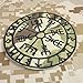 mult1cam Vegvisir Viking Compass Norse Rune Morale Scorpion OCP Hook Patch