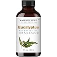 Majestic Pure Eucalyptus Essential Oil - 100% Pure Eucalyptus Oil for Aromatherapy, Massage & Topical Uses, Perfect for Diffuser & Essential Oil Diffuser - 1 Fl Oz
