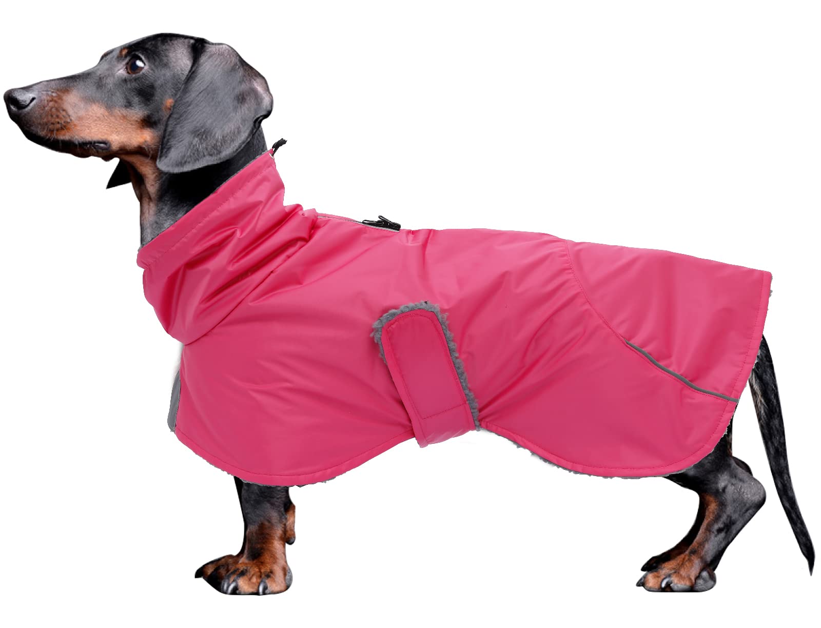 Dachshund Coats Waterproof, Perfect for Dachshunds, Sausage, Weiner Dog Winter Coat with Padded Fleece, Puppy Snowsuit with Adjustable Bands and High Vis Reflective Trim - Pink - L