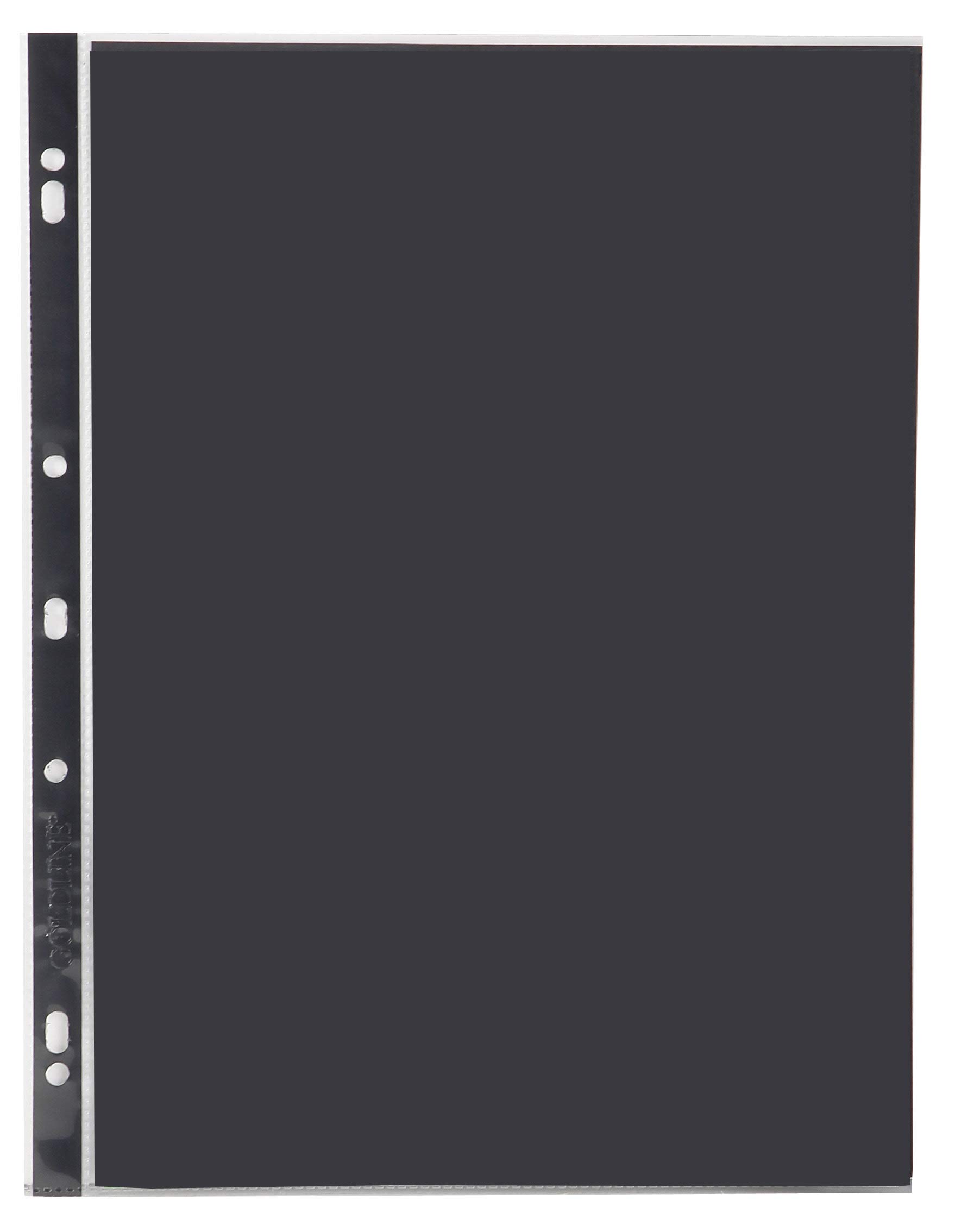 Clairefontaine - Ref PDSA4Z - Goldline Transparent Display Sleeve Pockets (Pack of 10 Pockets) - A4 Size (310 x 235mm),73 Holes, 150 Microns Thick, PVC Material