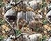 REAL TREE COTTON FABRIC BY SYKEL-REALTREE CAMOUFLAGE FABRIC-SOLD BY THE YARD