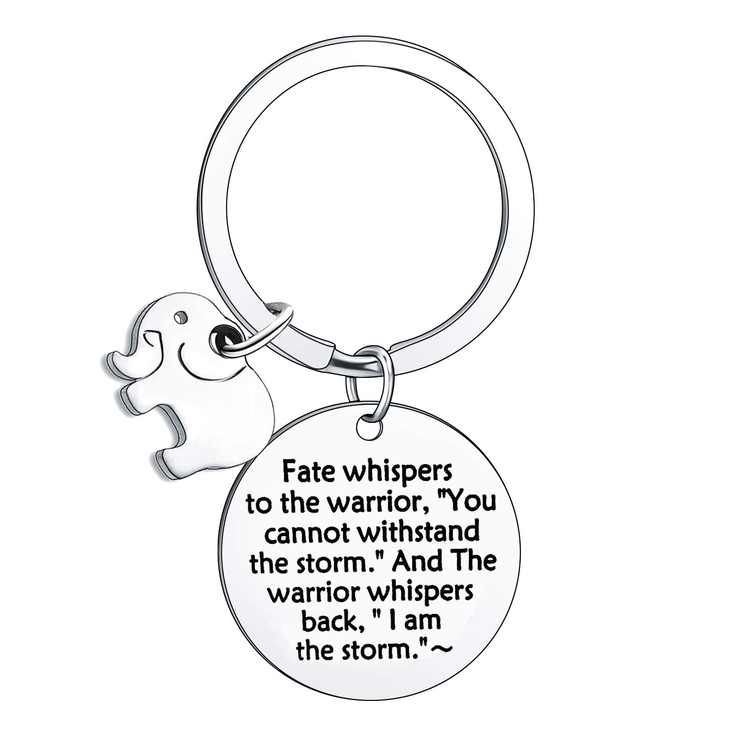 BESPMOSP Inspirational Keychain Don't Forget How Strong You are Keyring Graduation Gifts Elephant Lovers (I am the storm)