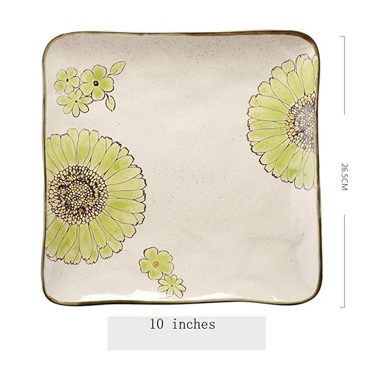 BaoKangShop Platos para microondas Plato de Pasta de ...