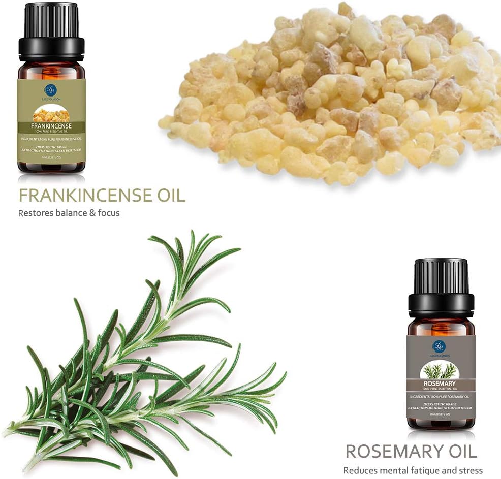 Lagunamoon Essential Oils Set, Aromatherapy Oils Set Includes Lavender, Tea Tree, Peppermint, Lemongrass, Orange, Rosemary, Frankincense, Lemon, Rosemary, Cinnamon, and Ylang-Ylang - Pack of 12, 10ml: Health & Personal Care
